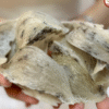 TỔ YẾN (100GRAM)