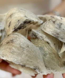 TỔ YẾN (100GRAM)