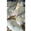 CÁ LIỆT 1/2KG 1-2 CON (500 GRAM)