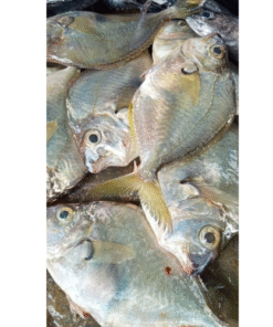 CÁ LIỆT 1/2KG 1-2 CON (500 GRAM)