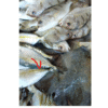 CÁ TRÁC (500 GRAM)